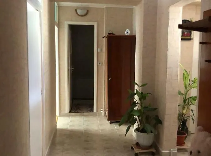 Da & Do קלוז'-נאפוקה